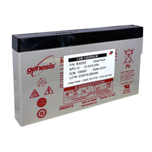 FloGard 6201, 521 Plus 522 Intelligent Pump (1993 upgrade) Replacement Battery
